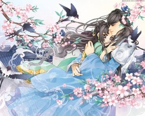 暴走黑料在线下载